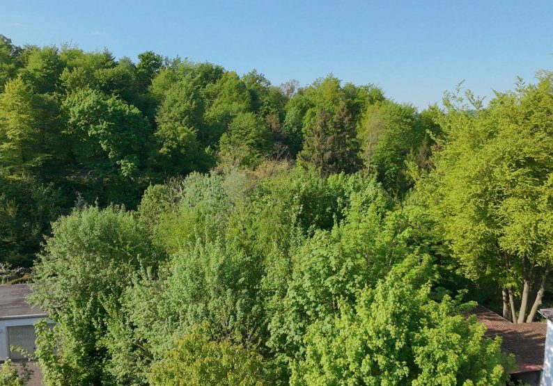 Ansicht_Luft_3