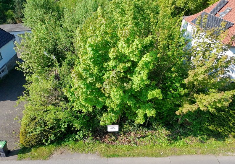 Ansicht_Front