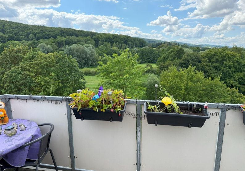 Ausblick vom Balkon