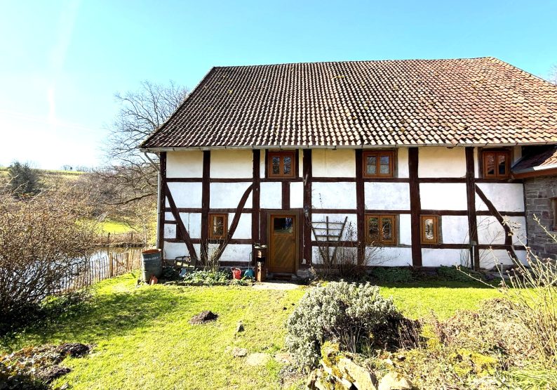 Seitenansicht