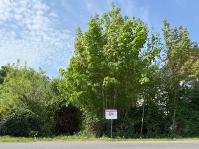 Ansicht_Straße