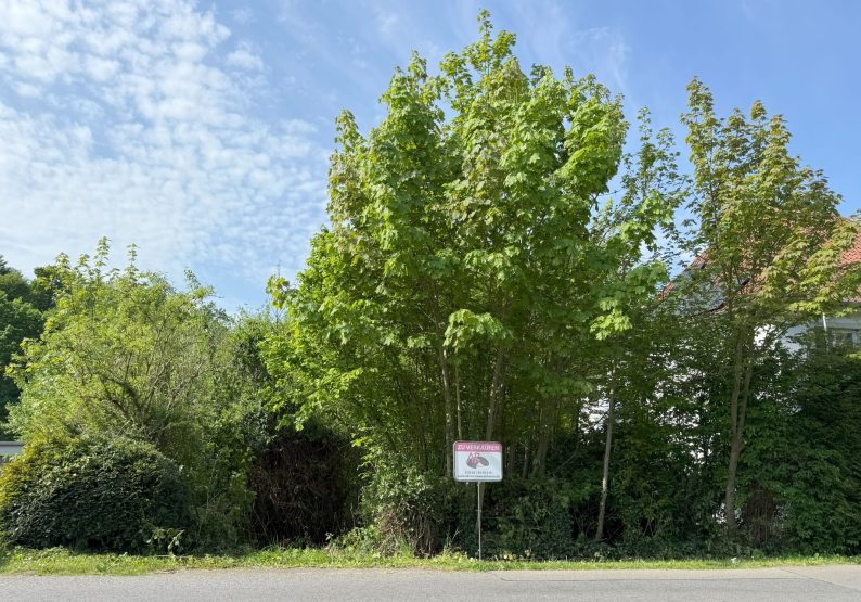 Ansicht_Straße